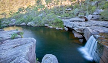 Jingga walking track, Dharawal National Park. Photo: Nick Cubbin &copy; OEH