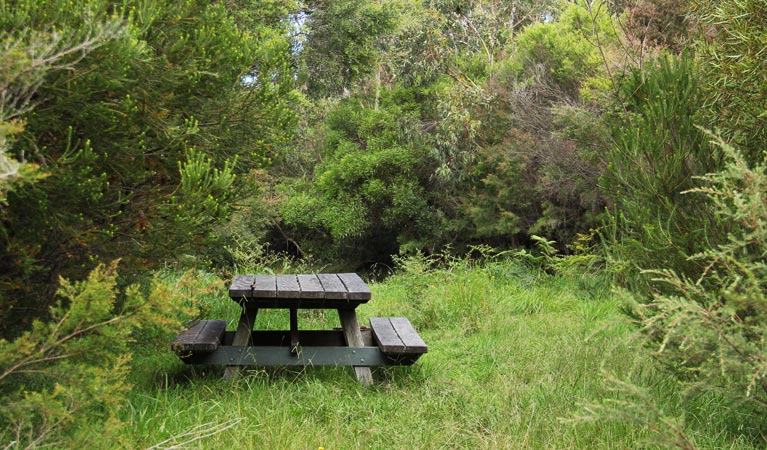 Maddens Creek picnic area. Photo: John Yurasek &copy; OEH