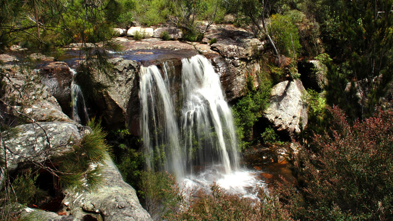 Maddens Falls. Photo: John Yurasek &copy; OEH