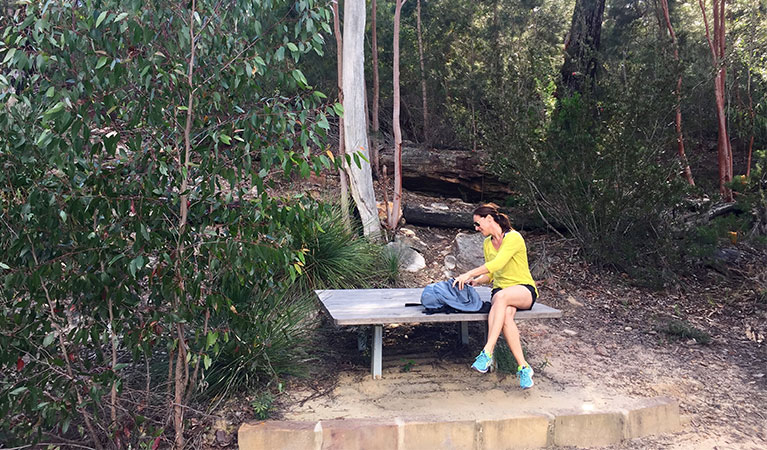 The viewing platform at Minerva Pool lookout. Photo: Matt Graham