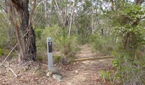 Minerva Pool walking track in Dharawal National Park. Photo: Rowena Morris