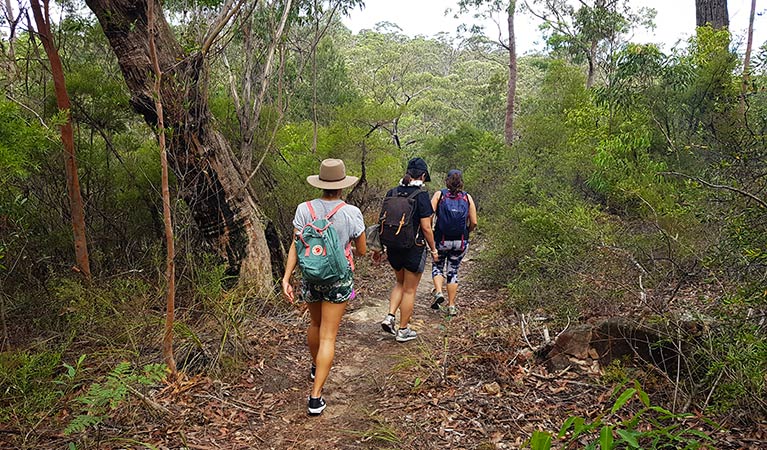 Friends bushwalking on Minerva Pool walking track. Photo &copy; Amanda Cutlack