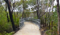 O'Hares Creek lookout walking track, Dharawal National Park. Photo: V Harnadi