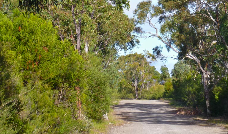 O'Hares Creek lookout walking track, Dharawal National Park. Photo: V Harnadi