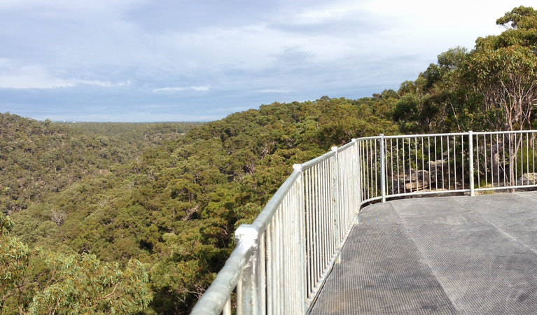 O'Hares Creek lookout, Dharawal National Park. Photo &copy; Jamie Erskine