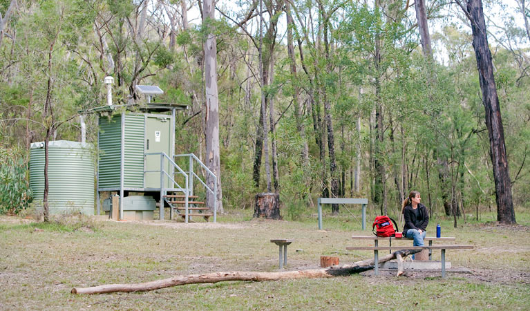 Dubbo Gully loop trail, Dharug National Park. Photo: Nick Cubbin