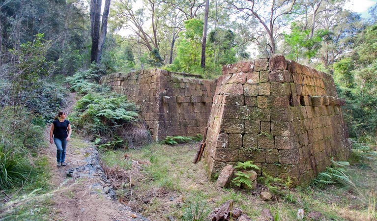 Dubbo Gully loop trail, Dharug National Park. Photo: Nick Cubbin