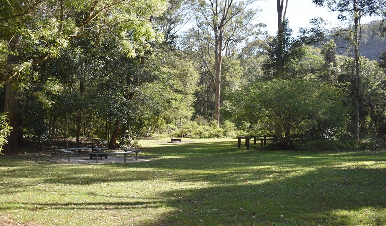 Grassy area at Mill Creek campground. Photo: Sarah Brookes &copy; DPIE