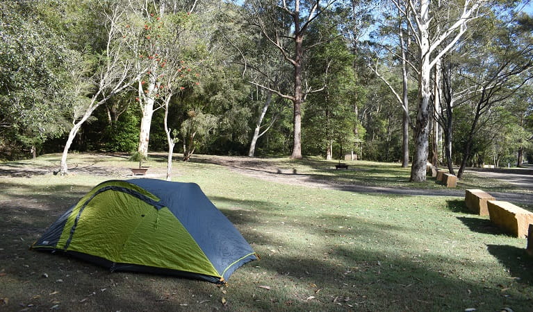 A tent at Mill Creek campground in Dharug National Park. Photo: Sarah Brookes &copy; DPE