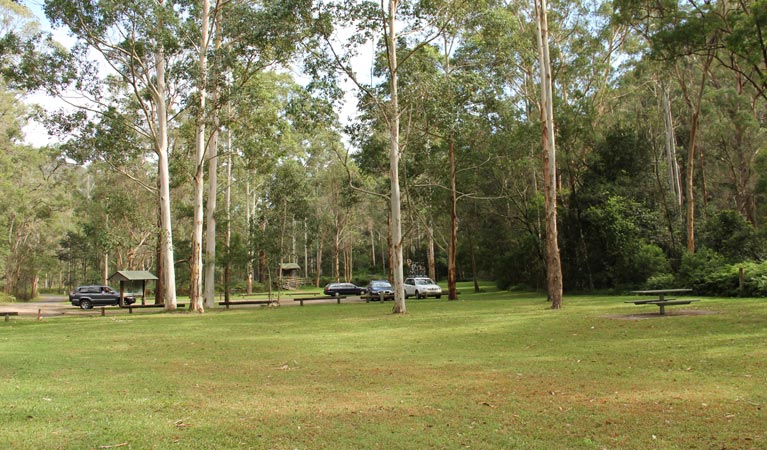 Mill Creek picnic area, Dharug National Park. Photo: John Yurasek &copy; OEH