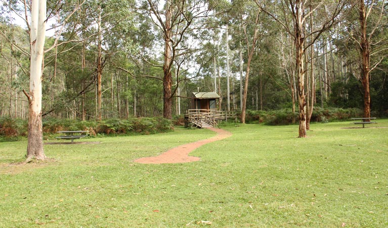 Mill Creek picnic area, Dharug National Park. Photo: John Yurasek &copy; OEH