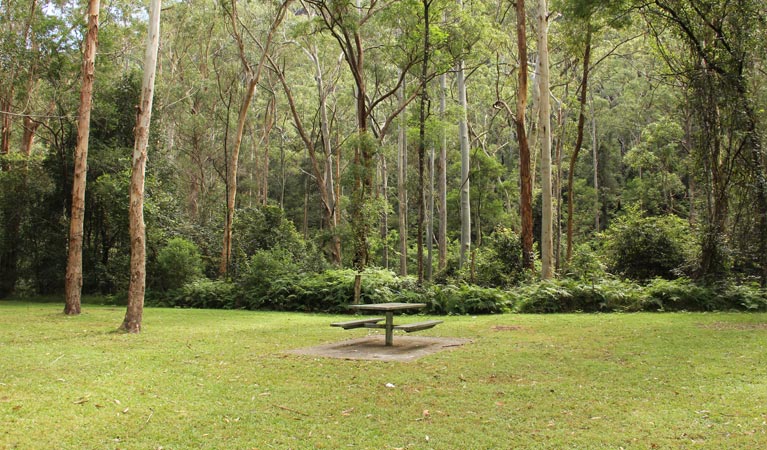 Mill Creek picnic area, Dharug National Park. Photo: John Yurasek &copy; OEH