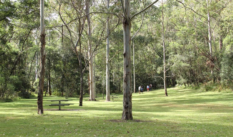 Mill Creek picnic area, Dharug National Park. Photo: John Yurasek &copy; OEH