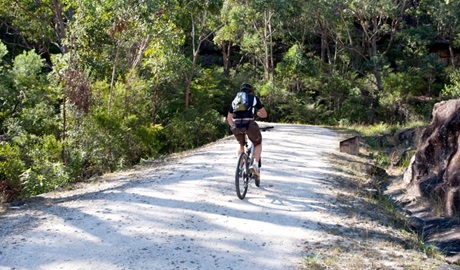 Cyclist on the Old Great North Road Bike Road. Photo: David Benson