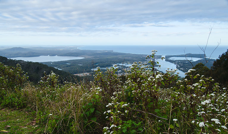 Dooragan lookout, Dooragan National Park. Photo: John Spencer/NSW Government