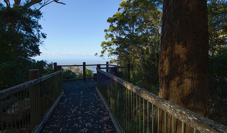 Rainforest Loop Lookout, Dooragan National Park. Photo: John Spencer/NSW Government