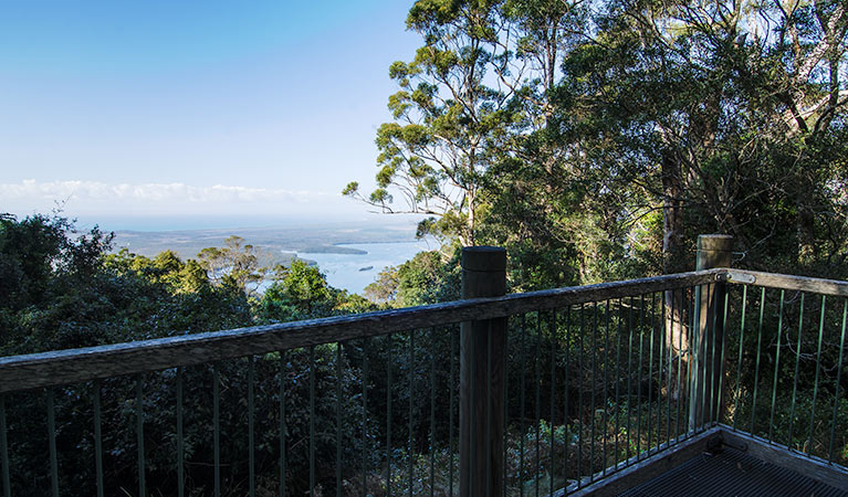 Rainforest loop, Dooragan National Park. Photo: John Spencer &copy; OEH