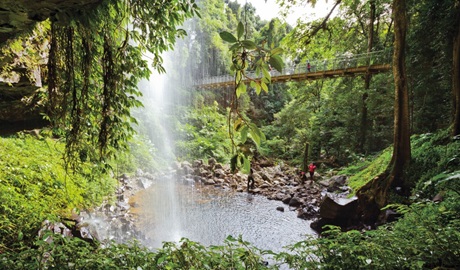 The view from behind the waterfall towards the suspension bridge at Crystal Shower Falls walk in Dorrigo National Park. Photo: Rob Cleary &copy; OEH