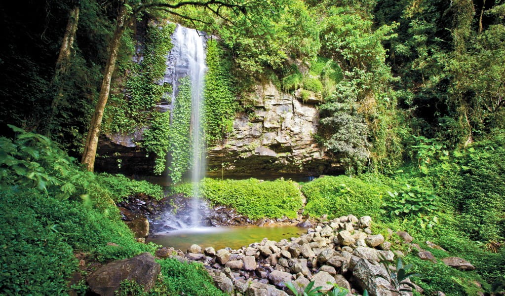 Crystal Shower Falls in Dorrigo National Park. Photo: Rob Cleary &copy; OEH