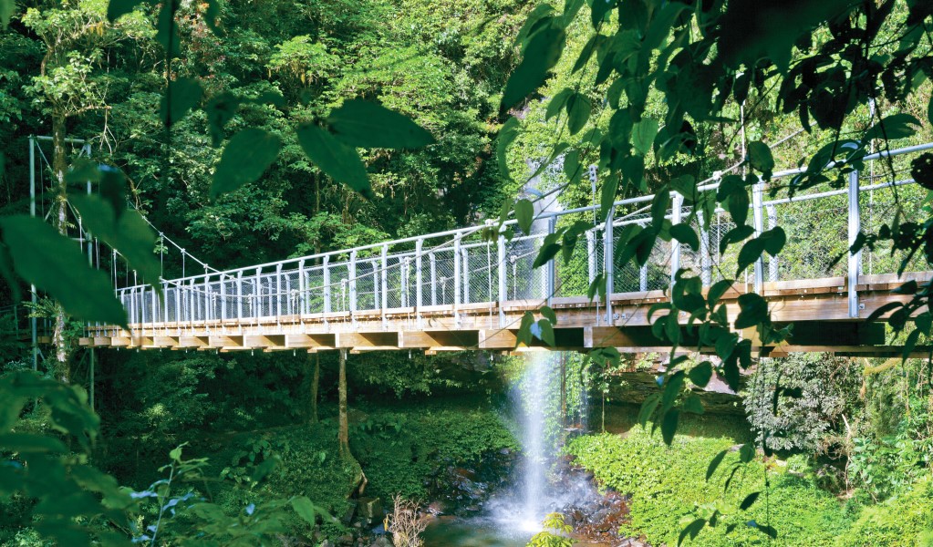 The suspension bridge along Crystal Shower Falls walk in Dorrigo National Park. Photo: Rob Cleary &copy; OEH