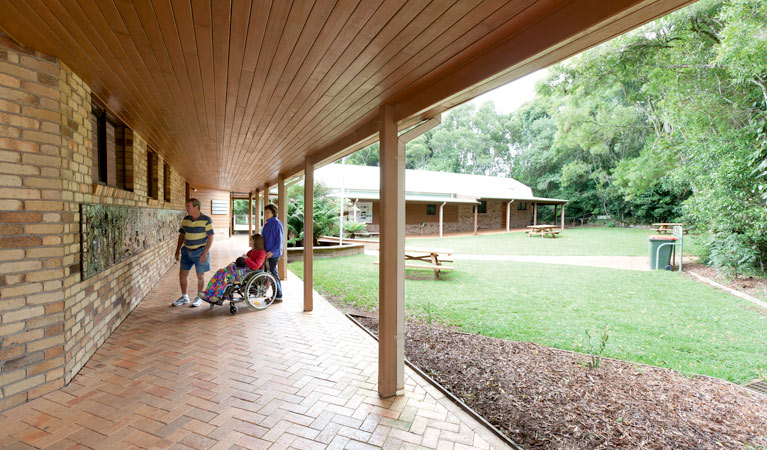 Dorrigo Rainforest Centre, Dorrigo National Park. Photo: Rob Cleary