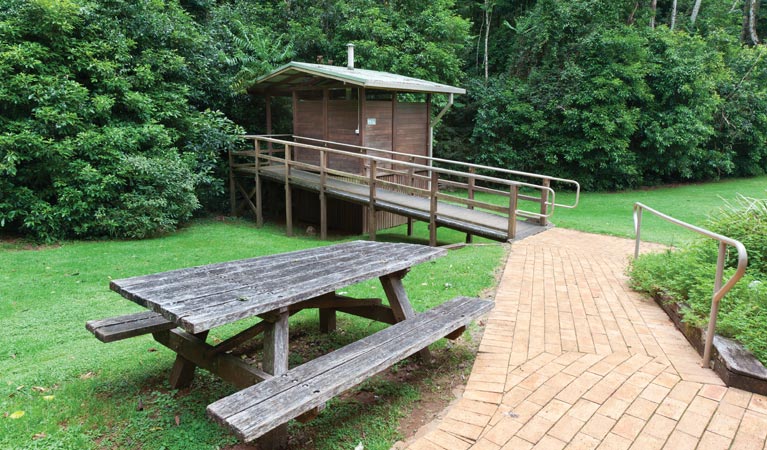 The Glade picnic area, Dorrigo National Park. Photo &copy; Rob Cleary 