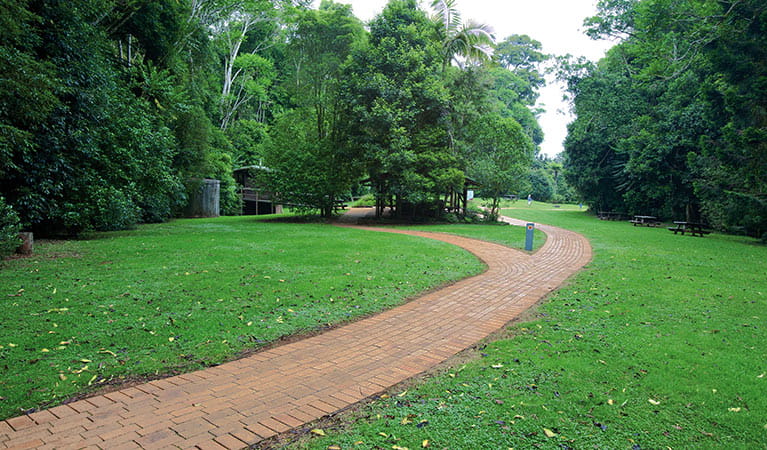 Path through the Glade picnic area. Photo &copy; Rob Cleary