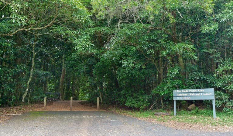 The Glade picnic area, Dorrigo National Park. Photo &copy; Rob Cleary