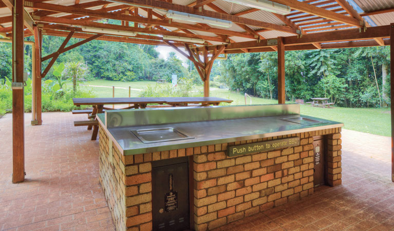 The Glade picnic area, Dorrigo National Park. Photo &copy; Rob Cleary