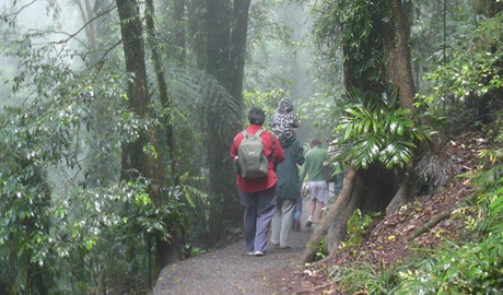 A family walking along the Lyrebird Link walking track. Photo &copy; Barbara Webster