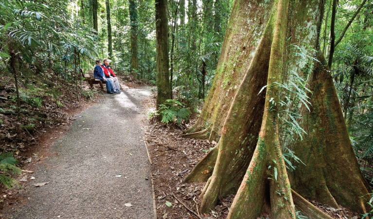 2 people sitting on a bench along Lyrebird Link track in Dorrigo National Park. Photo: Rob Cleary &copy; OEH
