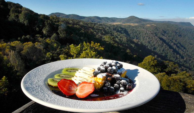 Canopy Cafe, Dorrigo National Park. Photo: NSW Government