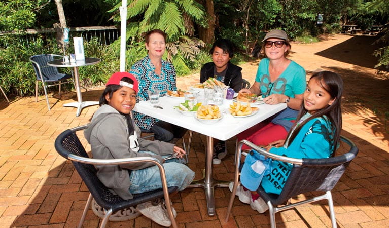 Canopy Cafe, Dorrigo National Park. Photo: NSW Government