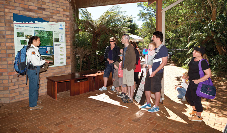 Canopy Cafe, Dorrigo National Park. Photo: NSW Government