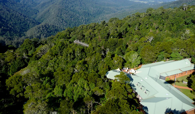 Canopy Cafe, Dorrigo National Park. Photo: NSW Government