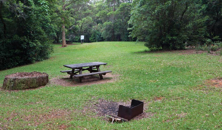 Never Never picnic area, Dorrigo National Park. Photo © Rob Cleary