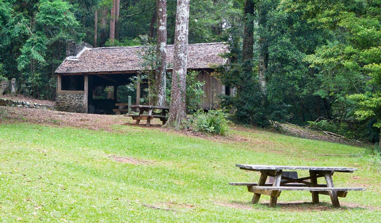 Never Never picnic area, Dorrigo National Park. Photo &copy; Rob Cleary