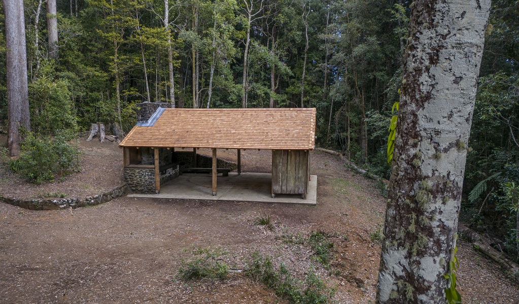 An wide view of the picnic shelter and its lush forest setting at Never Never picnic area, Dorrigo National Park. Credit: John Spencer/DCCEEW &copy; DCCEEW