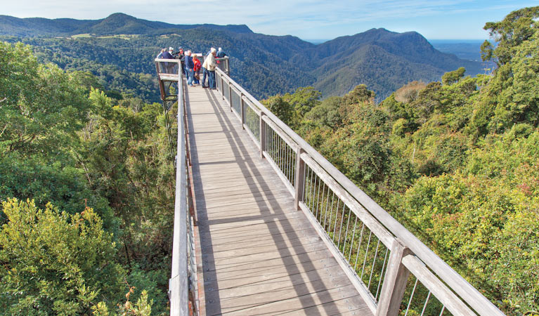 Skywalk lookout, Dorrigo National Park. Photo: Rob Cleary &copy; DPIE