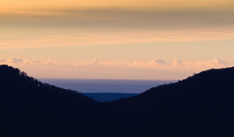 Skywalk lookout, Dorrigo National Park. Photo: Rob Cleary