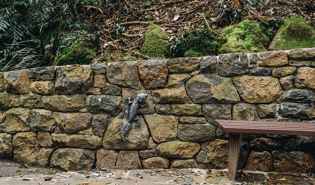 A sculpture of a gecko on a stone wall behind a bench on the Walk with the birds boardwalk in Dorrigo National Park. Credit: Jay Black &copy; DCCEEW