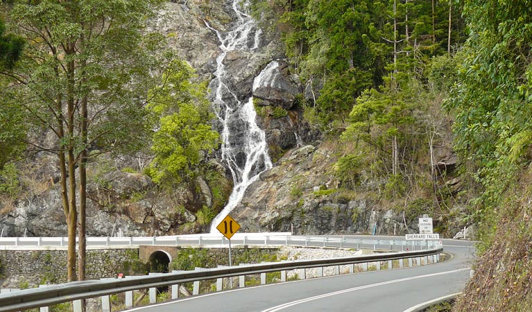 Waterwall Way scenic drive, Dorrigo National Park. Photo: Barbara Webster