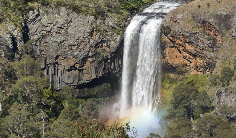 Waterwall Way scenic drive, Dorrigo National Park. Photo: Barbara Webster