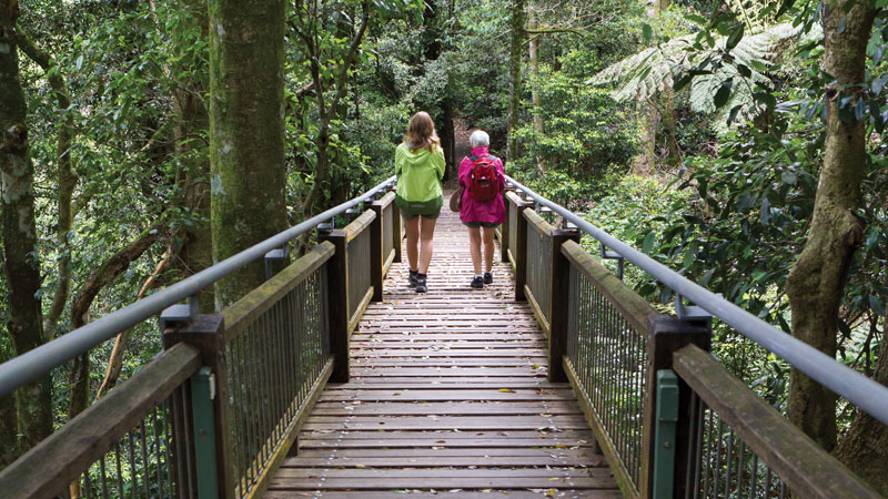 Two people walking on the Wonga walk boardwalk. Photo &copy; Rob Cleary