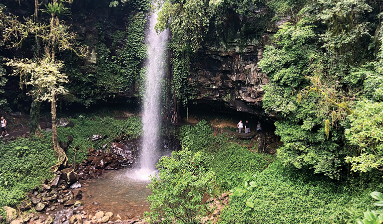 View of Crystal Shower Falls from the suspension bridge. Credit: Natasha Webb. &copy; Natasha Webb/DPIE