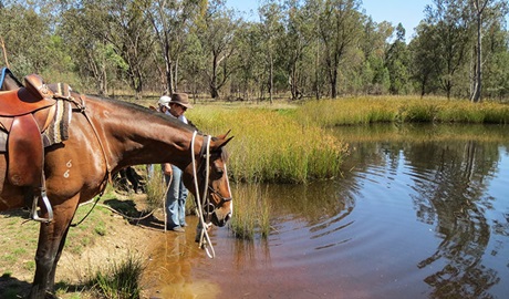 Horse riding trails, Dthinna Dthinnawan National Park. Photo: Michael Lieberman