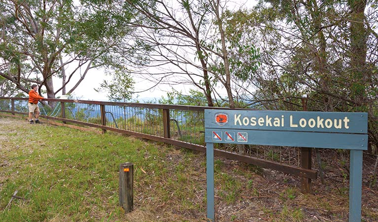 Kosekai lookout, Dunggir National Park. Photo: Rob Cleary &copy; OEH