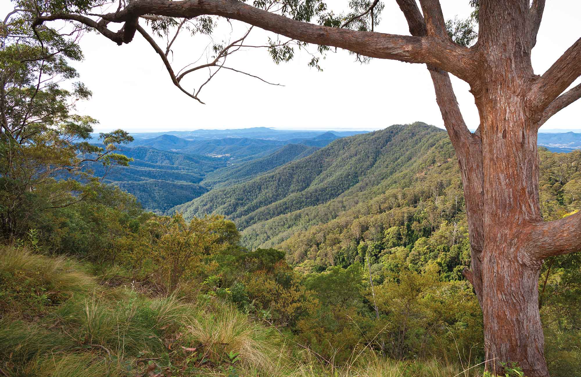 Kosekai lookout, Dunggir National Park. Photo: Rob Cleary &copy; OEH