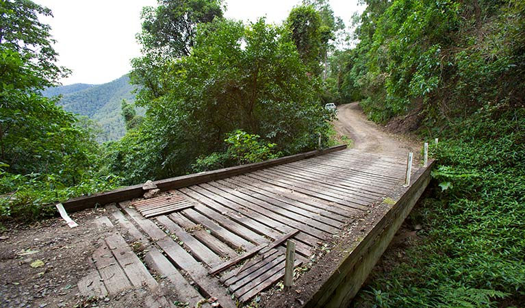 Bridge through Dunggir, Dunggir National Park. Photo: Robert Cleary &copy; DPIE