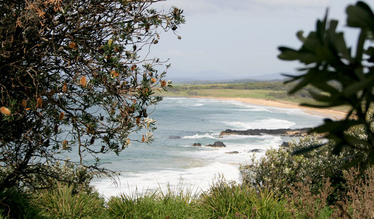 Surfers at 1080 Beach. Photo: Dina Bullivant